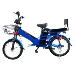 Manufacturers direct sales 20 inch fat tire spoke wheel load fork double battery electric bicycle